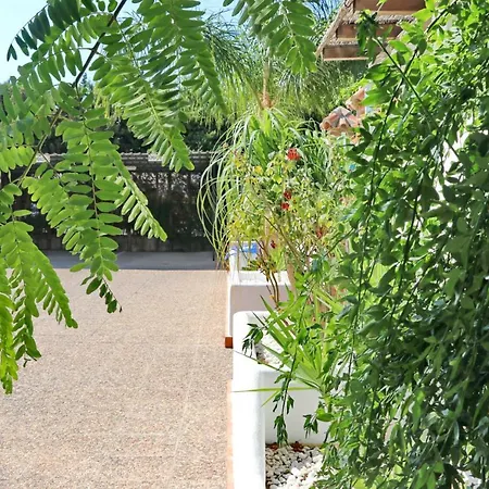 La Roa Ii Vakantiehuis Conil De La Frontera